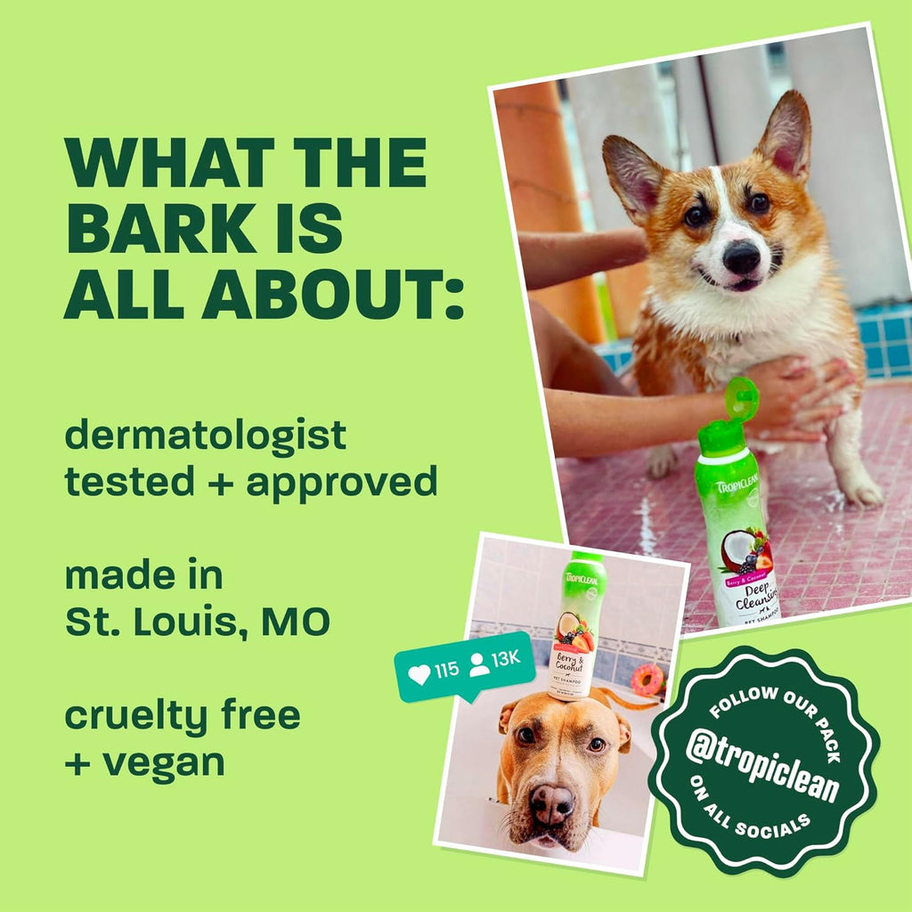 Cat grooming session using TropiClean oatmeal pet shampoo