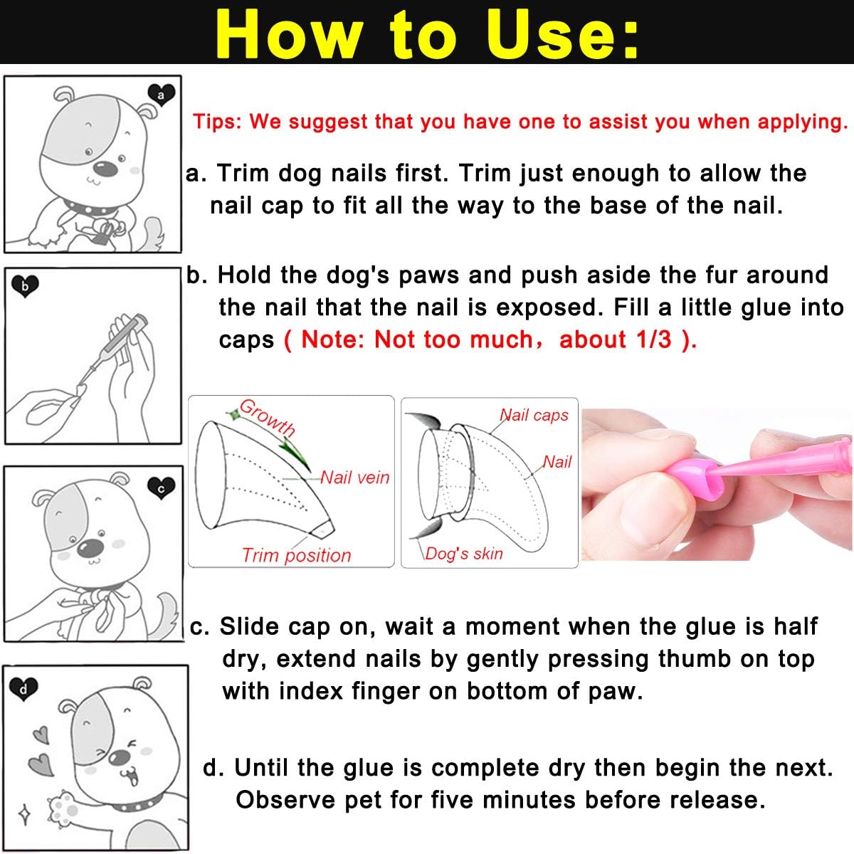 Top view of 100 piece dog nail cover set including glue tubes