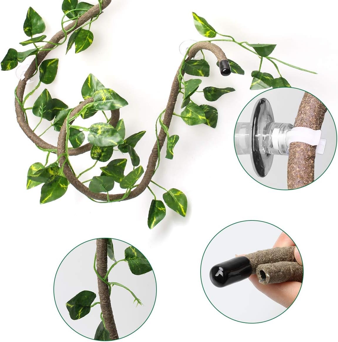 Flexible jungle climber vines mounted inside a lizard terrarium