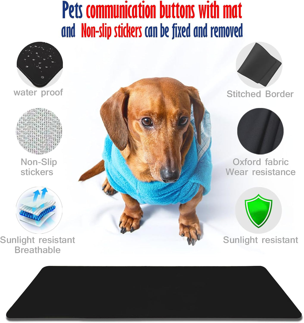 Beagle puppy interacting with the premium imported pet communication board during a behavior training session