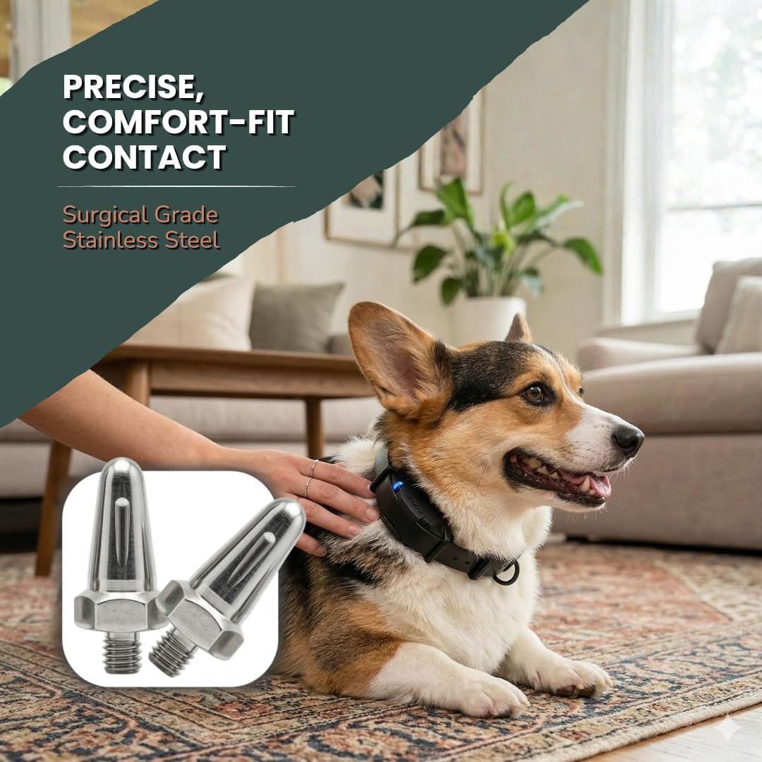 PetsTEK training collar replacement parts premium steel