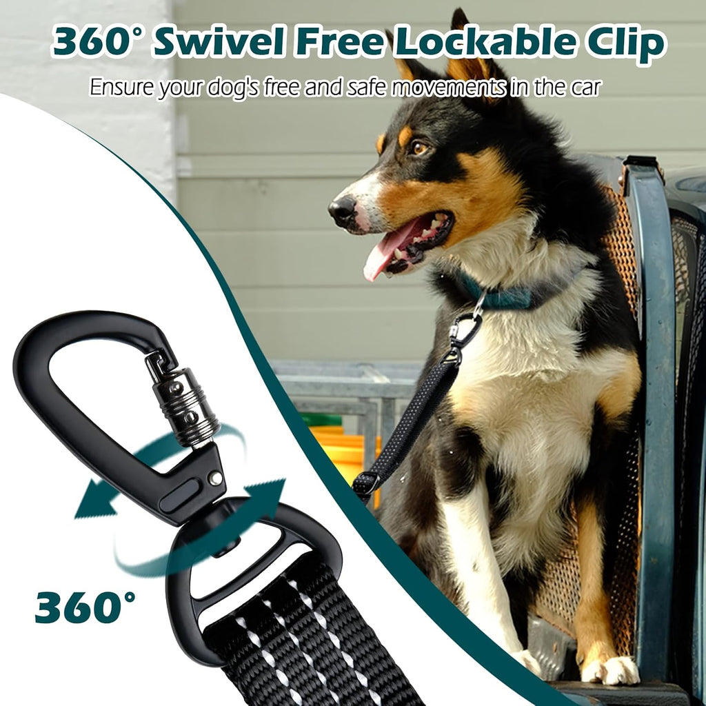 Dog securely tethered in pickup truck bed using PetBonus leash
