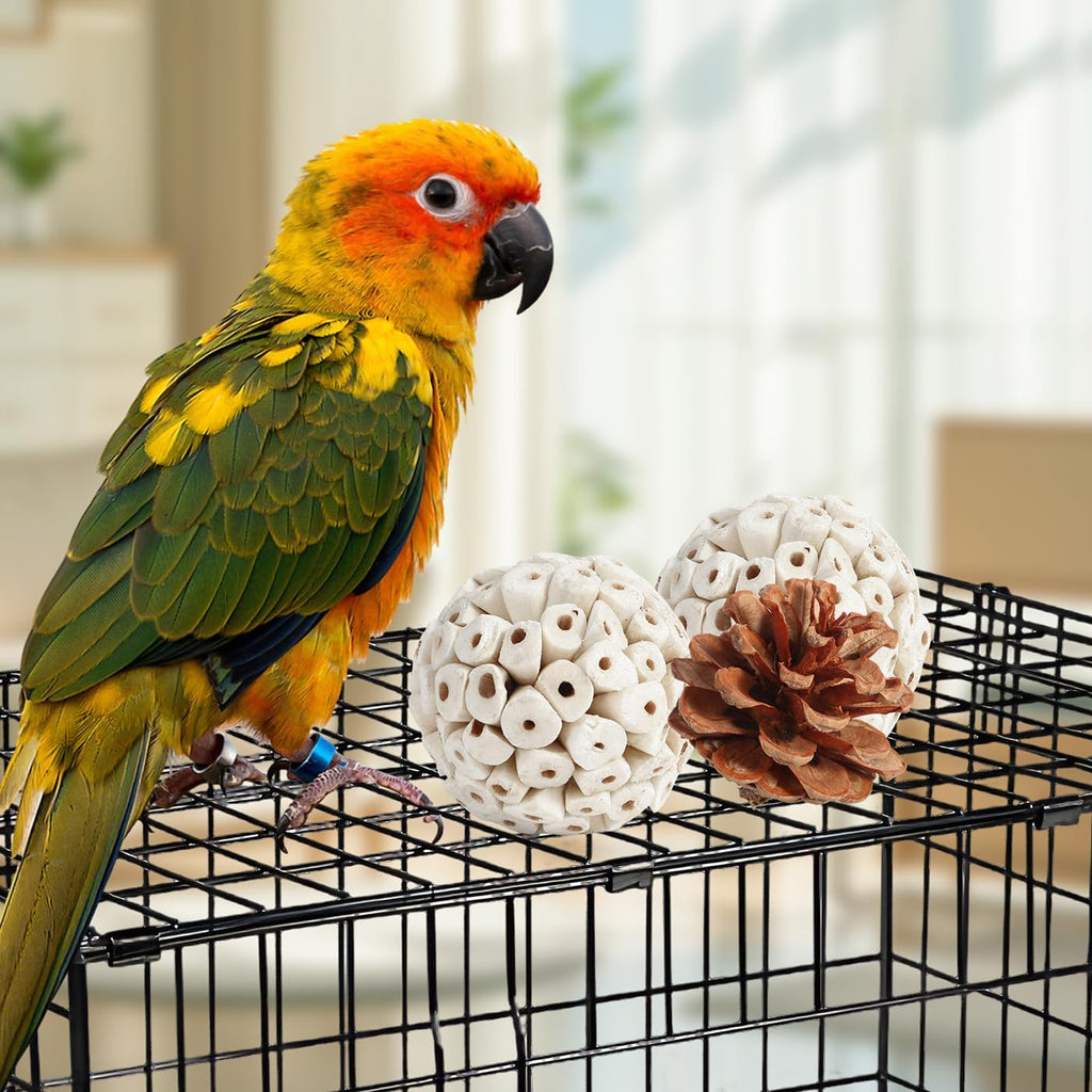 Bird enrichment box featuring seagrass and wicker balls