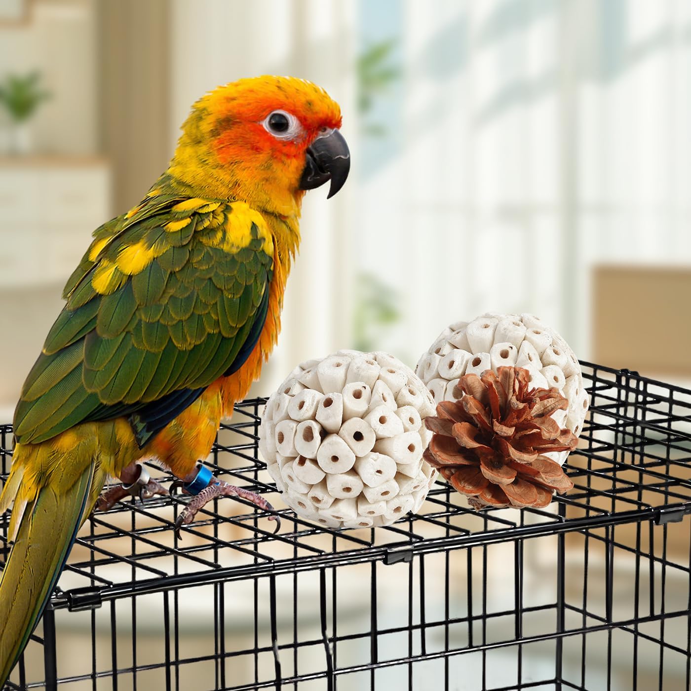 Kyouki parakeet foraging toy box placed on top of an avian cage.