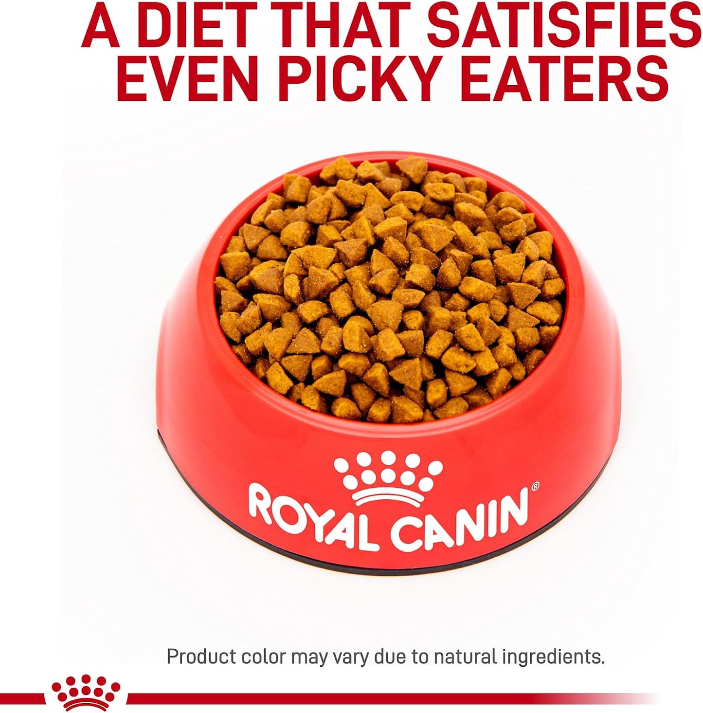 Authentic Royal Canin USA imported digestive health dry cat food formula