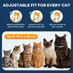 Plant based flea collar for cats on display