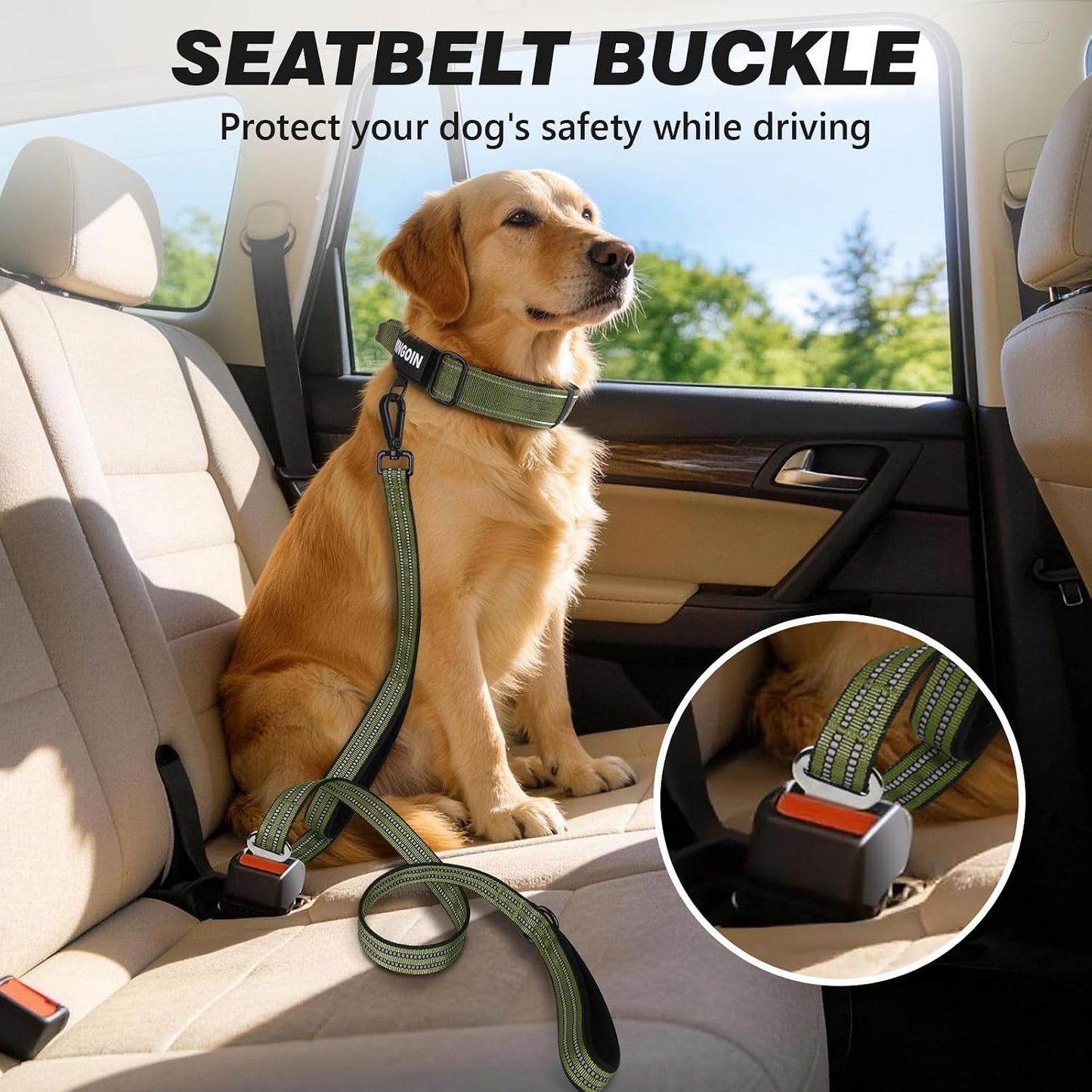 WINGOIN large dog leash showing the short padded traffic control handle in use