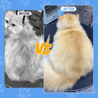 Rowpoz pet comb ergonomic handle design