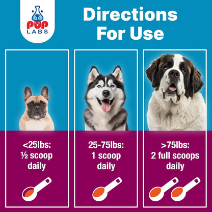 Pup Labs K9 Belly Bliss gut health supplement powder for dogs texture details