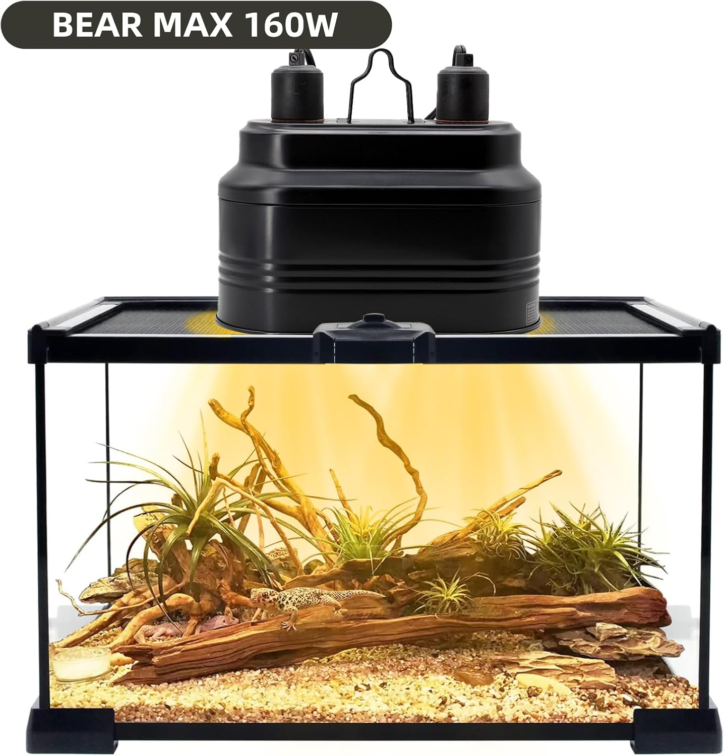 MECESOR reptile light fixture showing independent dual switches for separate bulb control.