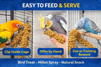 Hand holding a thick cluster of Birds LOVE USA grown millet