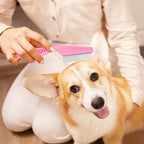 Double sided dog and cat grooming comb with rounded metal teeth for tear stain removal.
