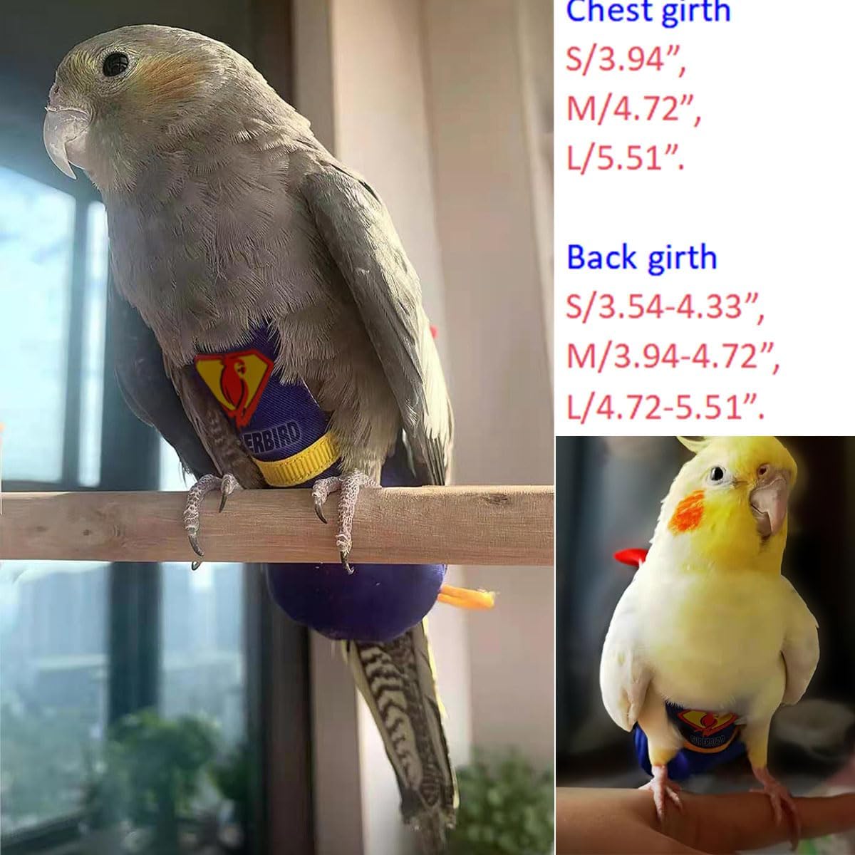 CELONROMF reusable pet bird clothing being demonstrated on a medium cockatiel