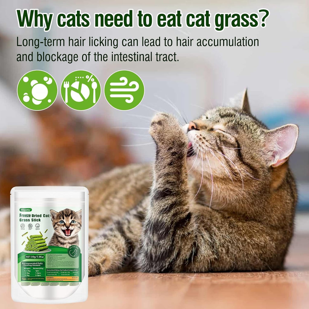 30g Cat Grass Sticks, Cat Grass Treats for Teeth Cleaning Hairball Removal - Image 6