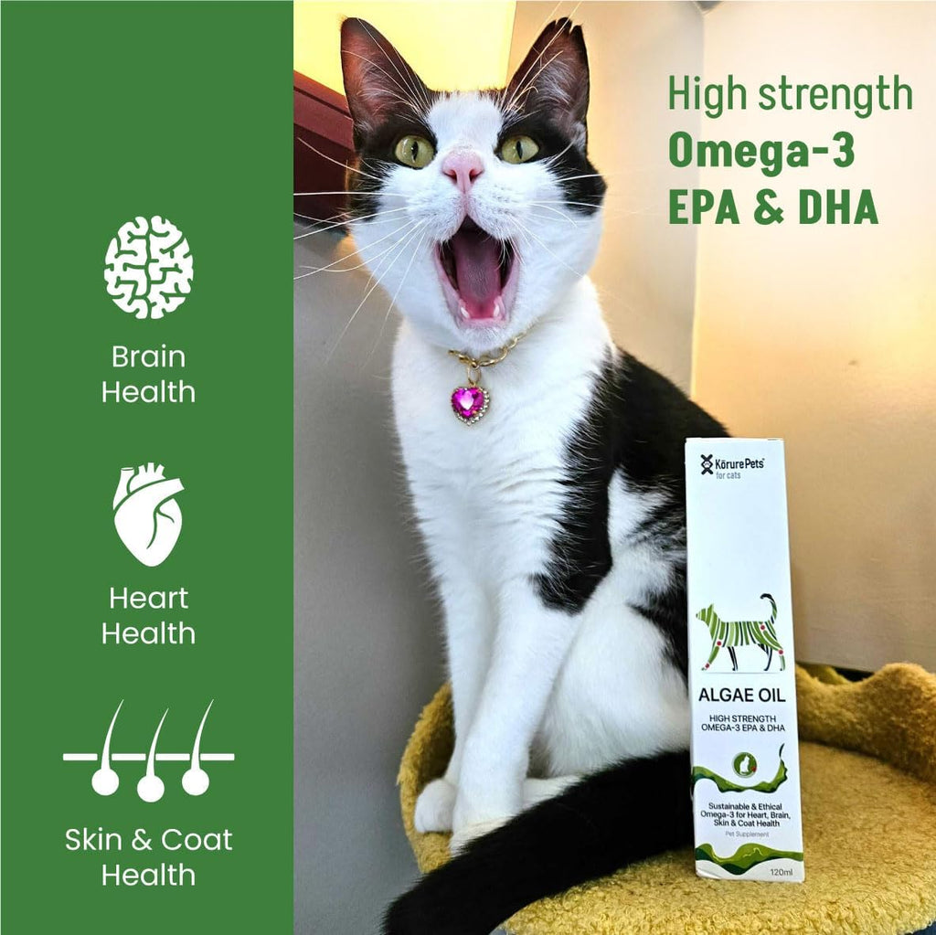 Side angle of the New Zealand sourced sustainable plant based fish oil alternative for feline skin and coat care.