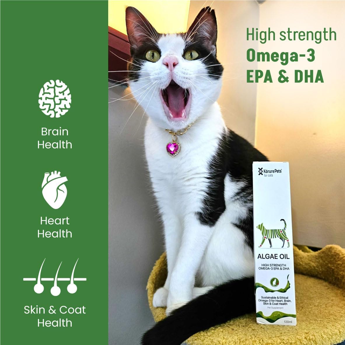 Side angle of the New Zealand sourced sustainable plant based fish oil alternative for feline skin and coat care.