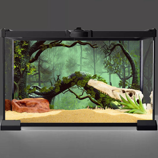 AWERT tropical rainforest aquarium backdrop attached to a fish tank exterior