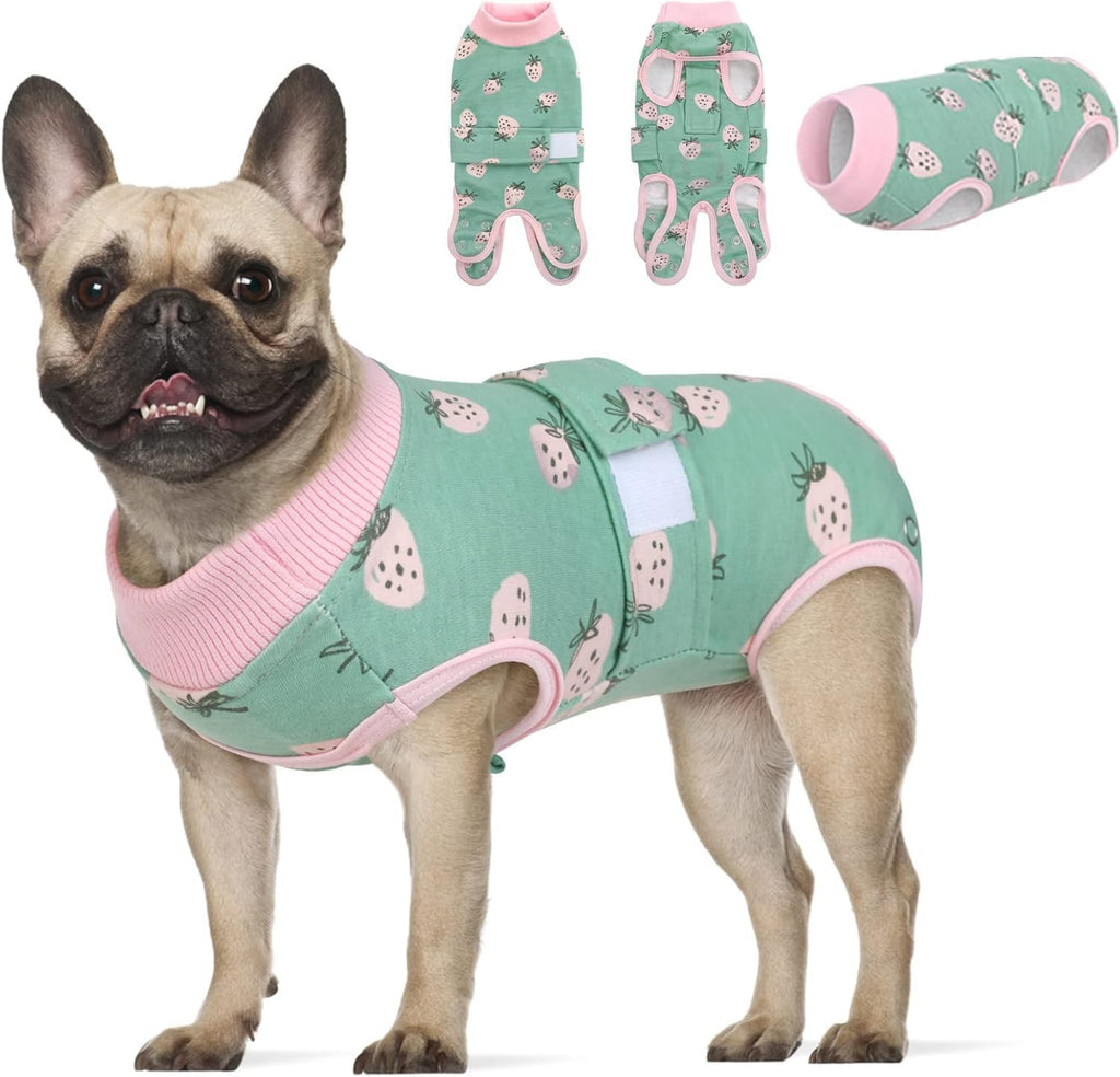 KOESON dog surgery recovery suit front view on a medium dog