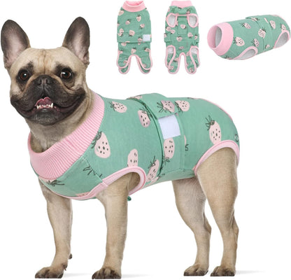 KOESON dog surgery recovery suit front view on a medium dog