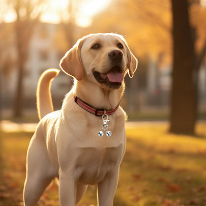 Lightweight pet collar bells being clipped onto a small puppy harness for outdoor tracking.