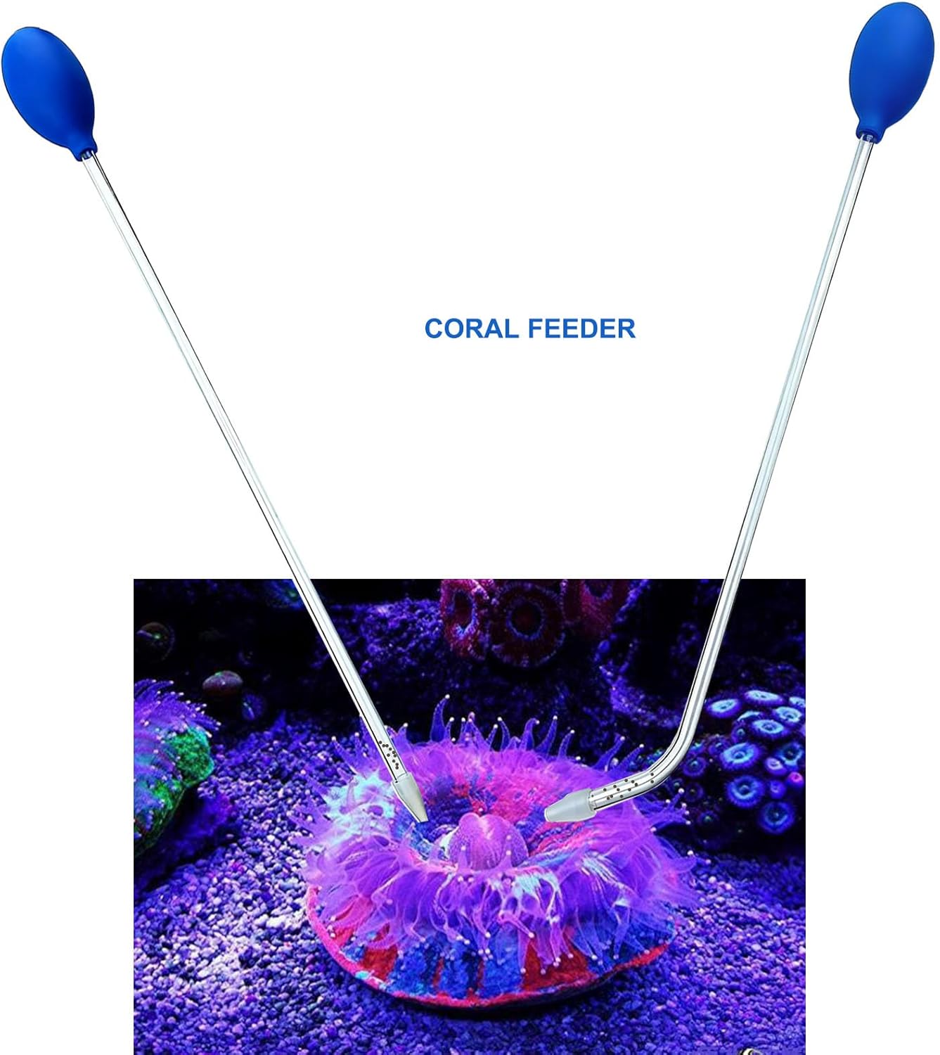 Leak proof rubber bulb attached to a clear acrylic reef feeding tube.