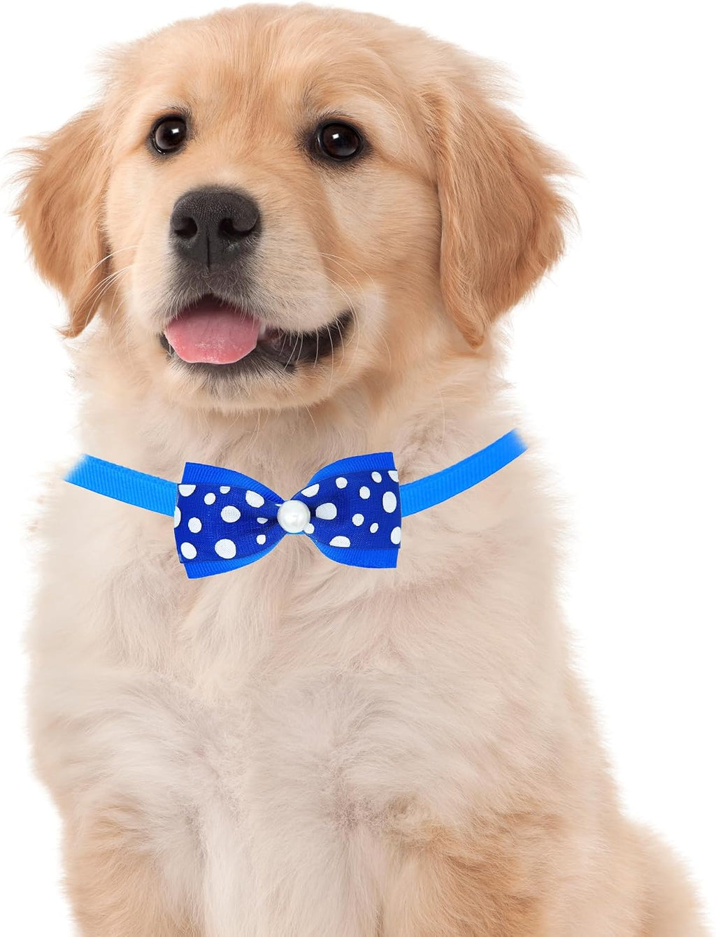 PET SHOW bulk pack of fifty small dog grooming bow ties showcasing various bright patterns.