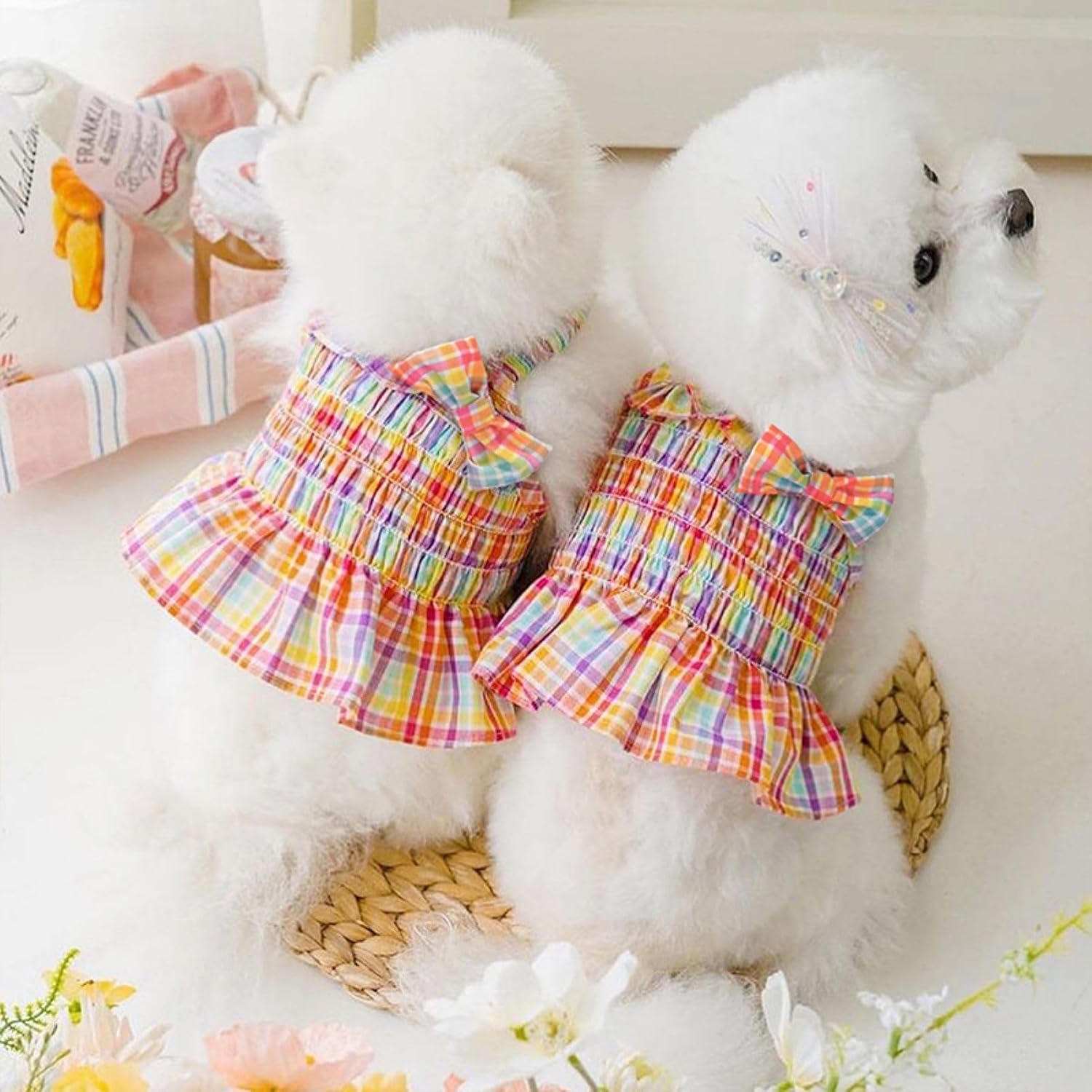 Back view of puppy wearing lightweight rainbow summer pet dress