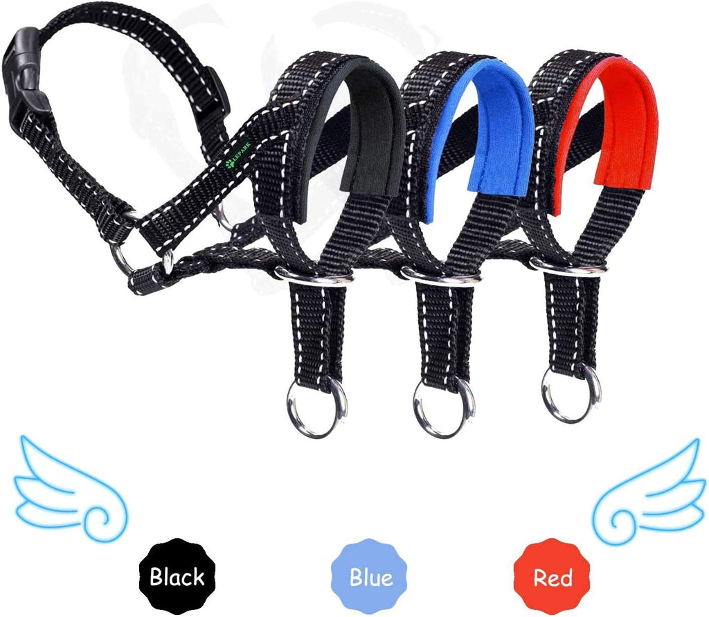 Dog wearing black Lepark head halter on a walk
