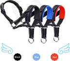 Dog wearing black Lepark head halter on a walk