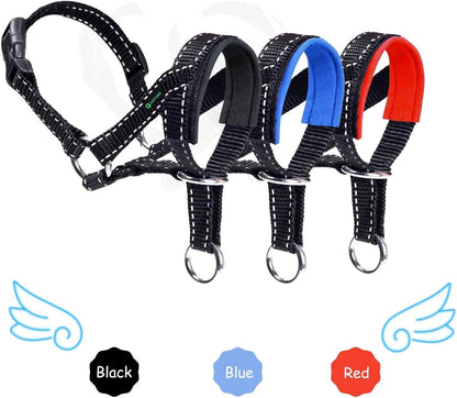 Dog wearing black Lepark head halter on a walk