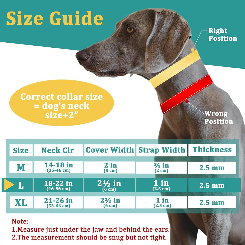 Premium nylon martingale dog collar showing soft rubber prong caps