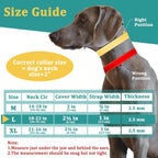 Premium nylon martingale dog collar showing soft rubber prong caps