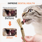 Cat playing with Ywaooh silvervine dental chew toy