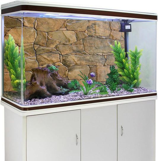 AWERT rocky fish tank backdrop installed securely on a clean glass terrarium enclosure