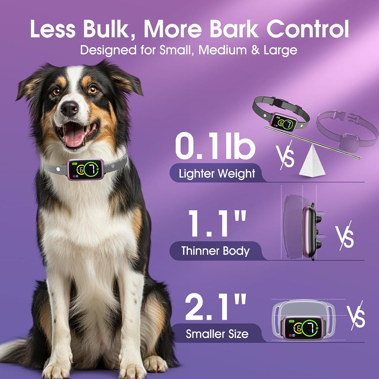 NQQHNN 1S bark collar side profile bright purple