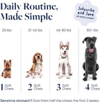 Veterinary Formula lutein and cranberry dog eye chews lifestyle image