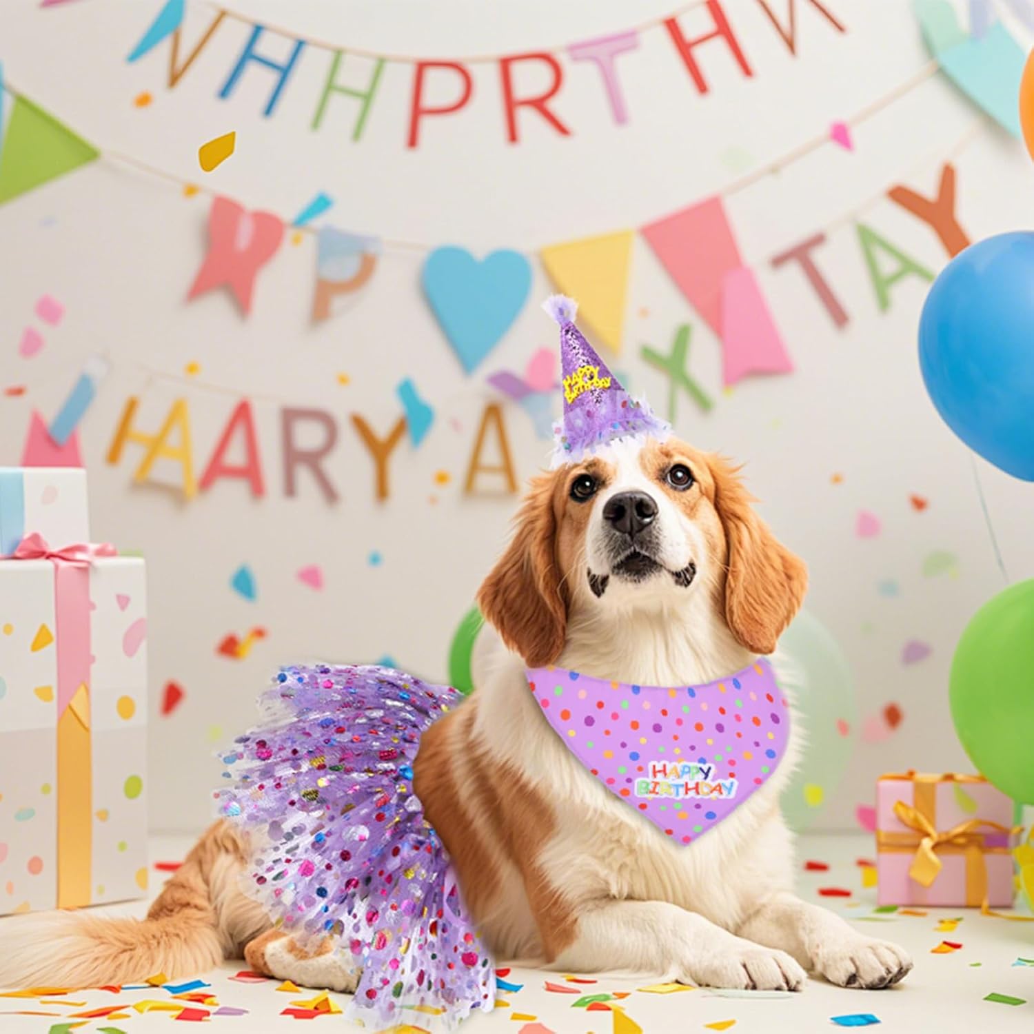 Imported high quality small to large dog birthday outfit details