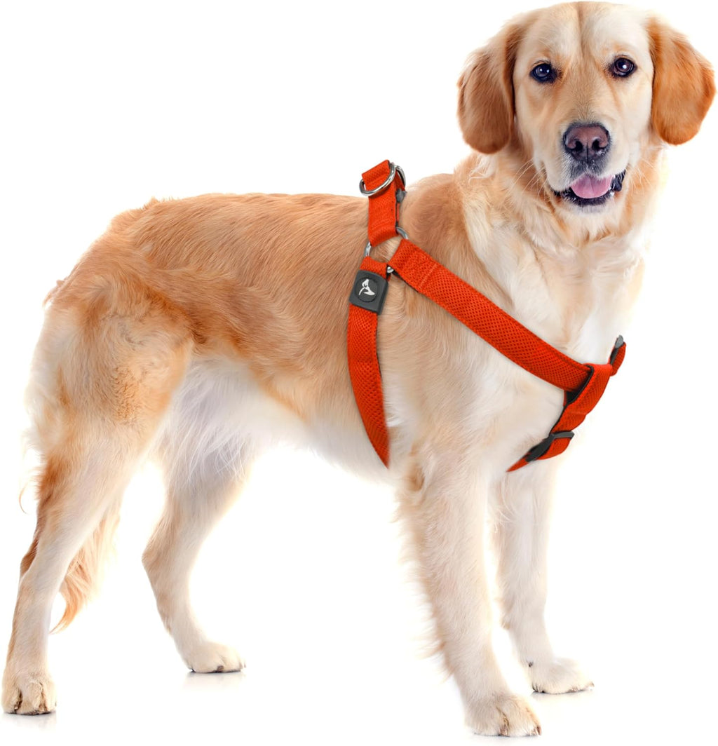 Kruz No Pull Dog Harness (Chest 26"-38", Weight 44-88 lbs) Heavy-Duty Pet Harness for Large Breeds, Ultra-Comfort Fit, Lifetime Durability, Adjustable Dog Harness No Pull Design (Amethyst, Large) - Image 9