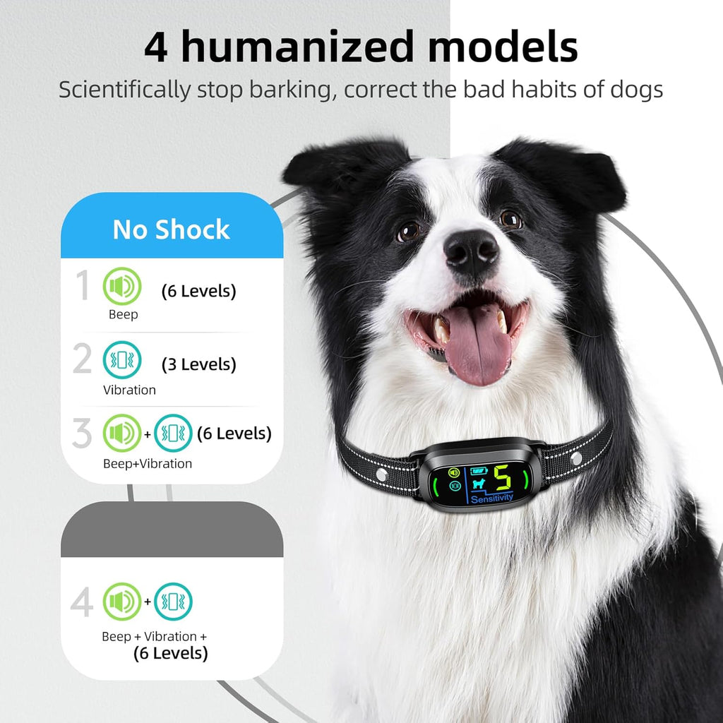 Fafafrog dog training collar with magnetic charging cable