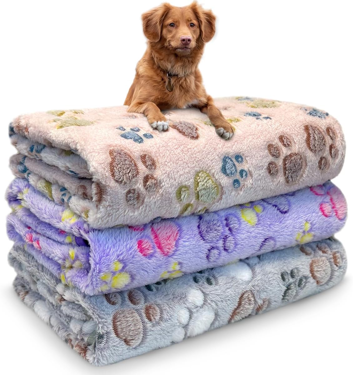 Dog Blankets for Medium Large Dogs, 3 Pack Dog Blanket Washable 41" x 31", Fuzzy Soft Pet Mat Throw Cover for Kennel Crate Bed, Cute Paw Pattern, Cat Blanket, Blankets for Dogs, Pet Blanket - Image 15