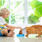 JoyHuaTrade soft Elizabethan collar alternative for small puppies