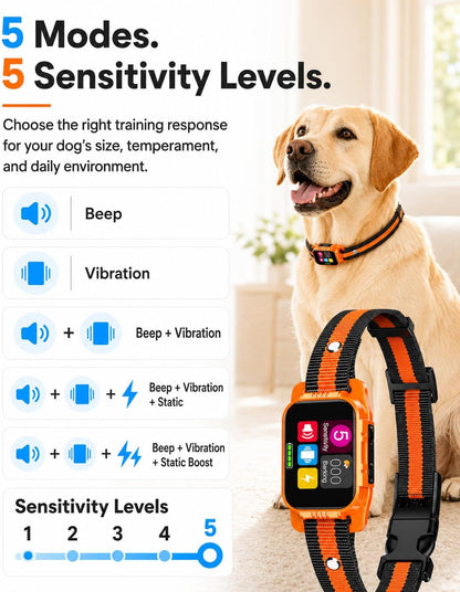 Close up of SKBAK dog training collar digital screen