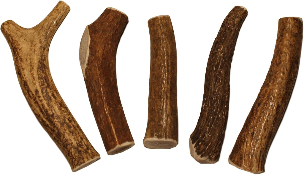 Elkhorn Premium Chews - X Large Whole Single Pack (for 50-90 lb Dogs) Premium Grade Elk Antler for Dogs (1 Piece) Sourced in the USA - Image 12