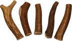 Elkhorn Premium Chews - X Large Whole Single Pack (for 50-90 lb Dogs) Premium Grade Elk Antler for Dogs (1 Piece) Sourced in the USA - Image 12