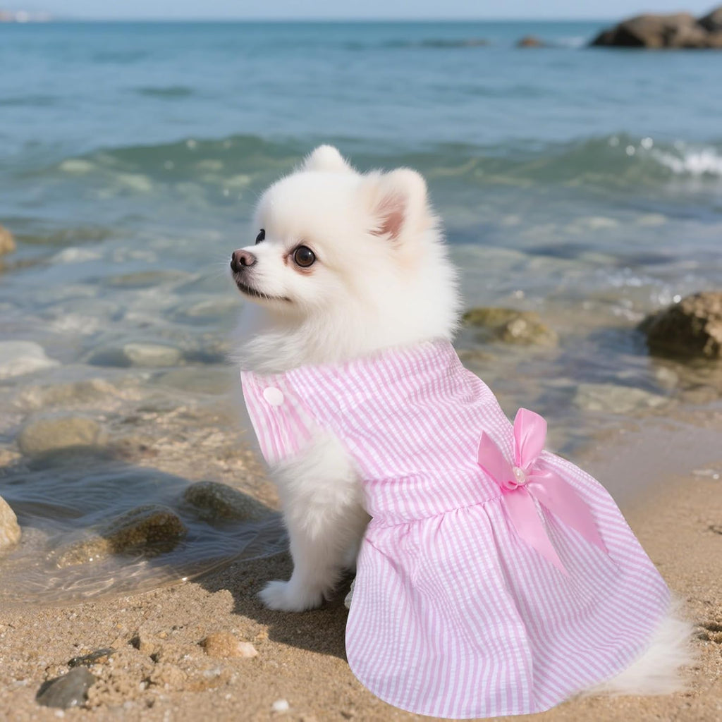 Lightweight breathable cat and dog summer skirt sizing reference layout.