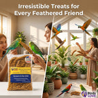 Hand-harvested natural millet treat for finches and budgies