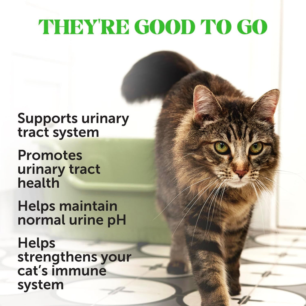 Close up of Pet Honesty cat supplement texture
