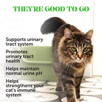 Close up of Pet Honesty cat supplement texture