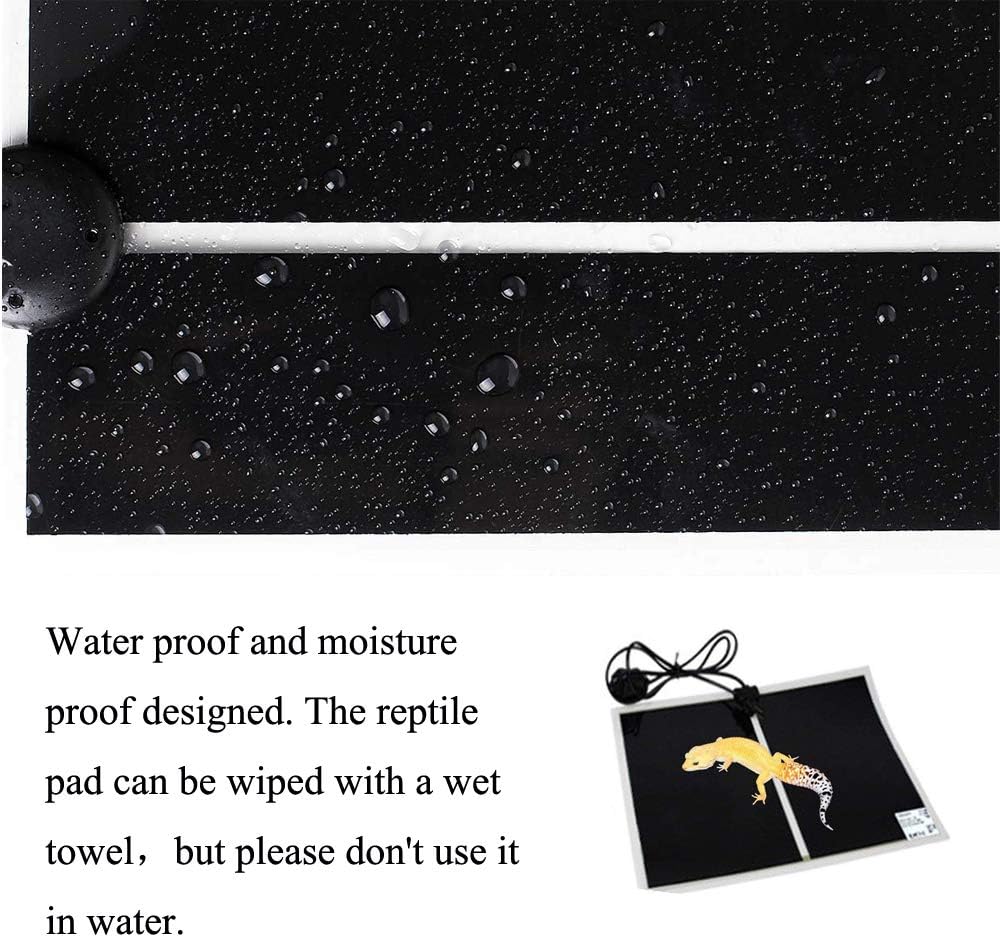Kabasi reptile heating pad temperature regulator close up