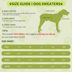Chihuahua and dachshund winter outfit with soft acrylic yarn texture close up
